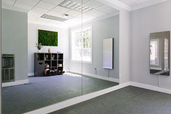 A room with a large mirror on the wall and a green rug on the floor.